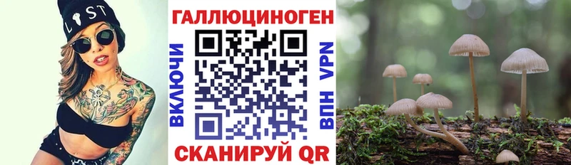 наркотики  Малая Вишера  Псилоцибиновые грибы GOLDEN TEACHER 