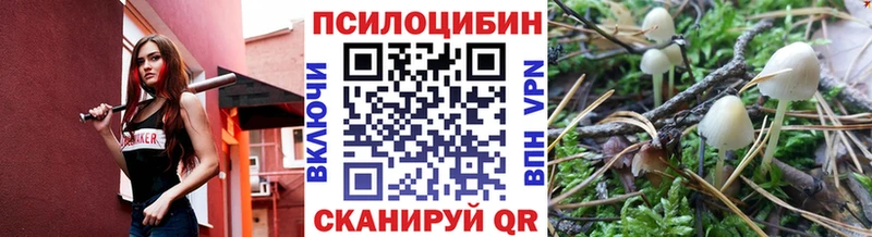Галлюциногенные грибы Magic Shrooms Малая Вишера